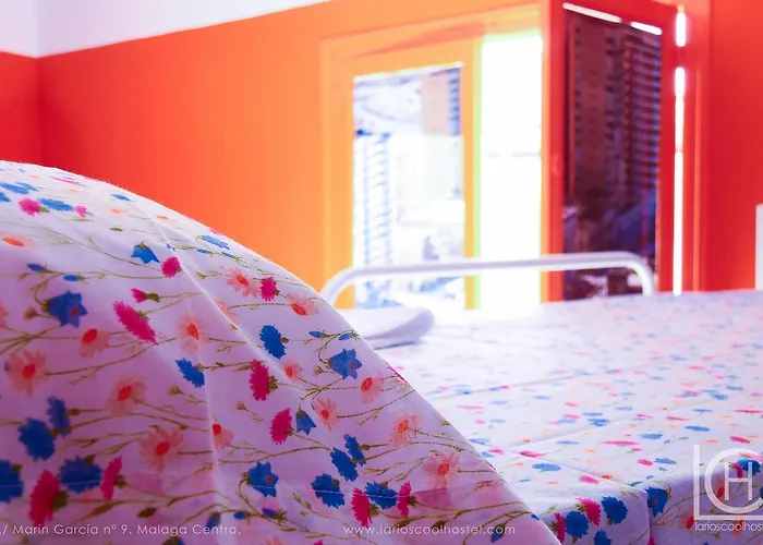 Larios Cool بيت شباب مالقة