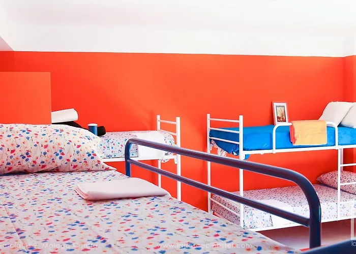 Larios Cool بيت شباب مالقة