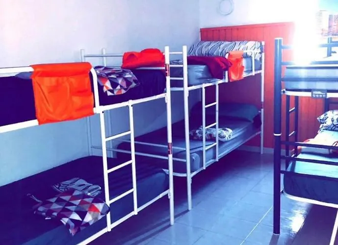 بيت شباب Larios Cool