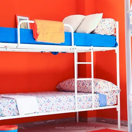Larios Cool Hostel *